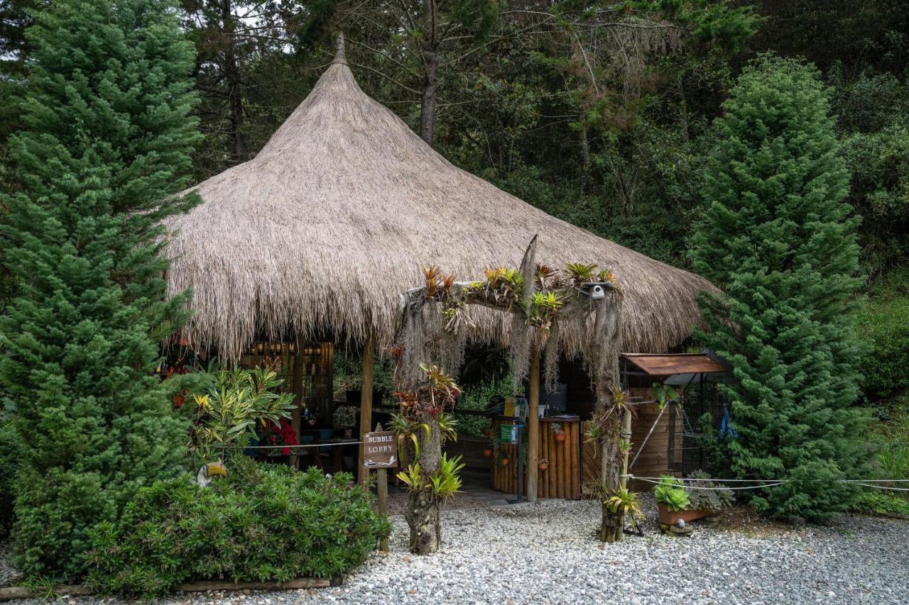 Отель Bubblesky Glamping 40 Min From Medellin Эль-Ретиро Экстерьер фото