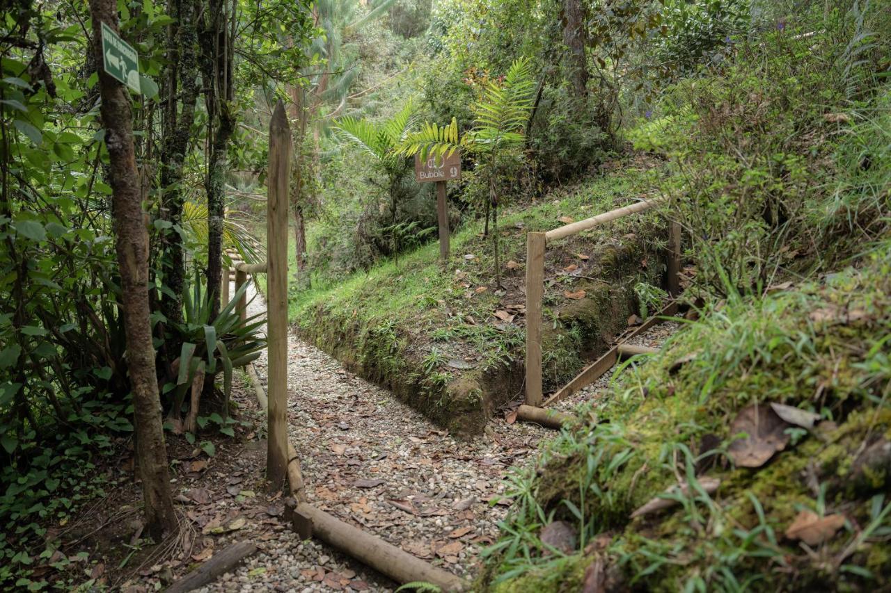 Отель Bubblesky Glamping 40 Min From Medellin Эль-Ретиро Экстерьер фото