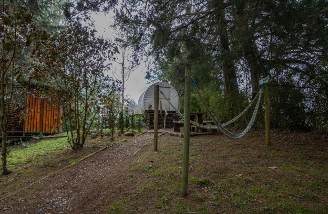 Отель Bubblesky Glamping 40 Min From Medellin Эль-Ретиро Экстерьер фото
